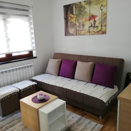 Apartman Milosevic Zlatibor Exterior photo